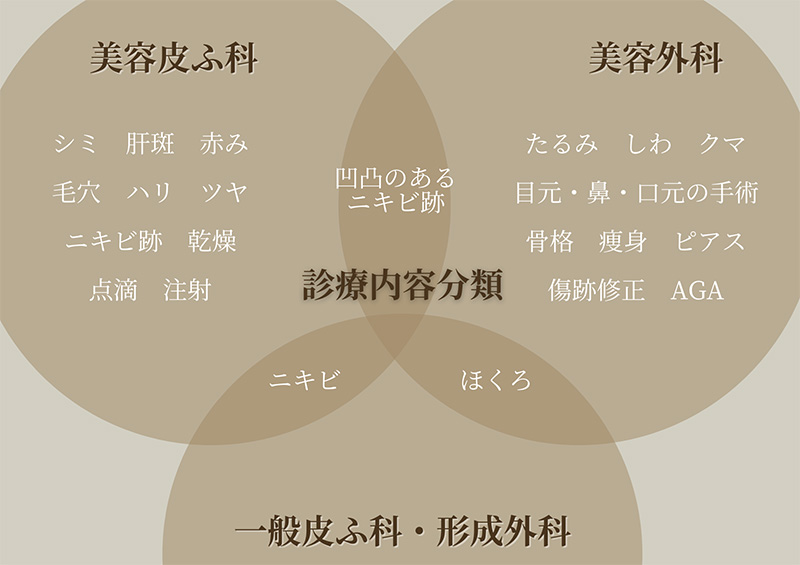 施術内容分類 形成外科