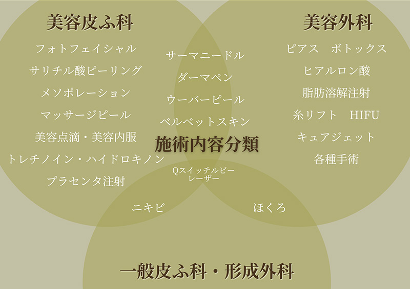 施術内容分類 一般皮ふ科・形成外科